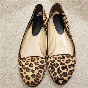 Leopard print Antonio Melania ballet flats